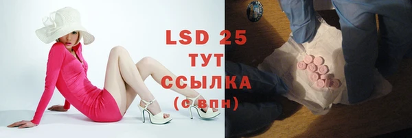прущая мука Гусев