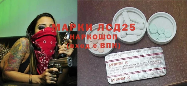 гидропоника Горняк