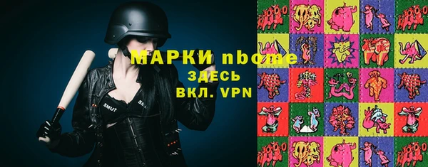 крисы Горнозаводск