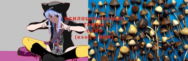 кокаин колумбия Вязники