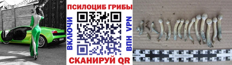 Галлюциногенные грибы ЛСД  ОМГ ОМГ ссылка  Коломна 